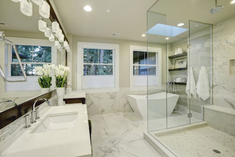 Elegant Bathtub to Shower Conversions